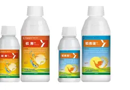 頭{@_J絡NY农Zi慟X?l俷?彉,?催掃c俫`蚒筮O億;3鴬&討姻壙zm6?m鋖削Lc要?鼦?璟?K鯡?g?酊?+?+?觕B的简单介绍